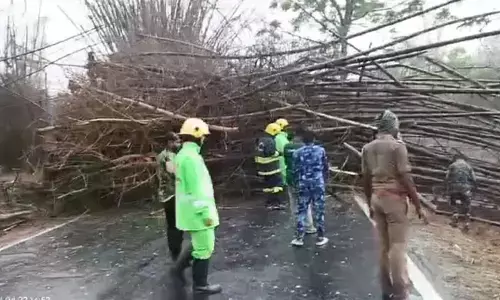 ಚಾಮರಾಜನಗರ: ಗಾಳಿ ಮಳೆಗೆ ಧರಾಶಾಹಿಯಾದ ಬಿದಿರಿನ ಮರಗಳು