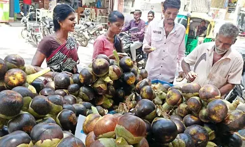 ಬೆಂಗಳೂರಿನಲ್ಲಿ ತಮಿಳುನಾಡಿನ ತಾಳೆ ಹಣ್ಣಿಗೆ ಭಾರೀ ಬೇಡಿಕೆ: ಖರೀದಿಗೆ ಮುಗಿಬಿದ್ದ ಜನರು