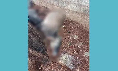 ಹನೂರು: ಸಿಡಿಲಿನ ಆಘಾತಕ್ಕೆ ಮೂರು ಜಾನುವಾರುಗಳು ಬಲಿ