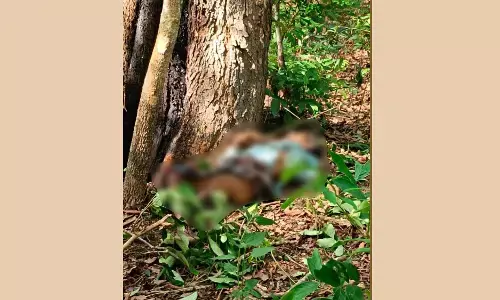 ಶಿವಮೊಗ್ಗ | ಕಾಡಾನೆ ದಾಳಿ: ತರಗೆಲೆ ತರಲು ಕಾಡಿಗೆ ಹೋಗಿದ್ದ ವ್ಯಕ್ತಿ ಮೃತ್ಯು