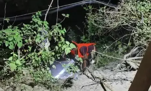 ದಾಂಡೇಲಿ: ಮೊಸಳೆಗಳಿರುವ ನಾಲೆಗೆ ಮಗುವನ್ನು ಎಸೆದ ತಾಯಿ: ಮೃತದೇಹ ಪತ್ತೆ