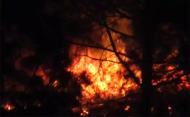 ಉತ್ತರಾಖಂಡ ವ್ಯಾಪಕ ಕಾಳ್ಗಿಚ್ಚು: ನಾಲ್ವರು ಸಜೀವ ದಹನ, ಜನಜೀವನ ಅಸ್ತವ್ಯಸ್ತ