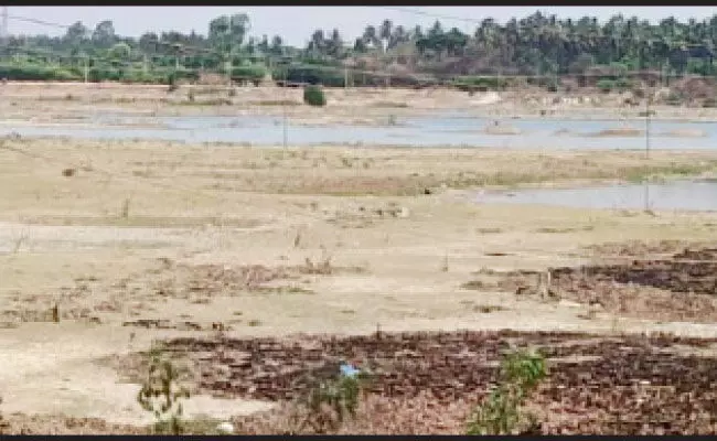 ಬಿಸಿಲ ಬೇಗೆಗೆ ಬತ್ತಿದ ಕೆರೆಗಳು