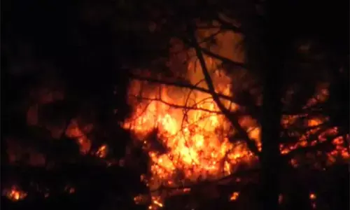 ಉತ್ತರಾಖಂಡ ವ್ಯಾಪಕ ಕಾಳ್ಗಿಚ್ಚು: ನಾಲ್ವರು ಸಜೀವ ದಹನ, ಜನಜೀವನ ಅಸ್ತವ್ಯಸ್ತ