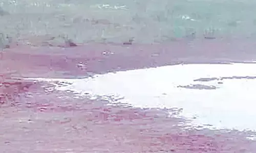 ರಾಜ್ಯದ 16,625 ಕೆರೆಗಳಲ್ಲಿ ಶೇ.30ಕ್ಕಿಂತಲೂ ಕಡಿಮೆ ಪ್ರಮಾಣದ ನೀರು