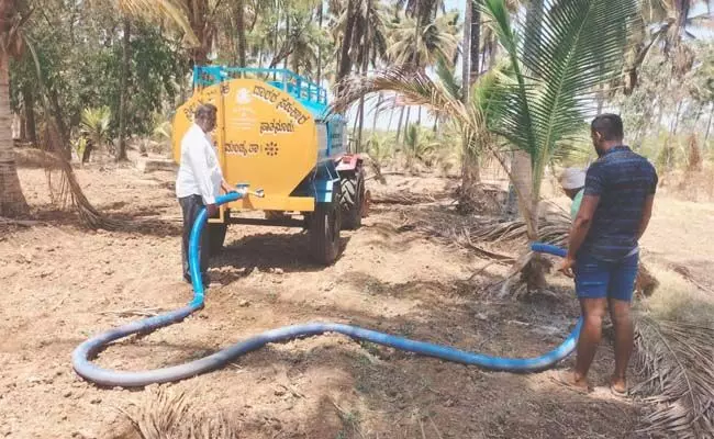 ಬರದ ದವಡೆಗೆ ಸಿಲುಕಿ ನಲುಗುತ್ತಿರುವ ಸಕ್ಕರೆ ಜಿಲ್ಲೆಯ ರೈತರು