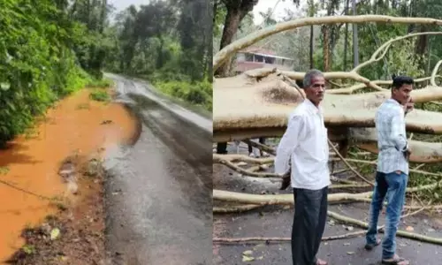 ಬಿಸಿಲ ಧಗೆಯಿಂದ ಕಂಗೆಟ್ಟಿದ್ದ ಕಾಫಿನಾಡು ಚಿಕ್ಕಮಗಳೂರಿಗೆ ತಂಪೆರೆದ ಮಳೆ
