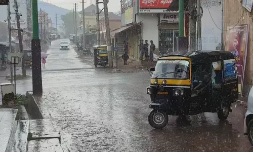 ಕಾಫಿನಾಡು ಚಿಕ್ಕಮಗಳೂರಿನಲ್ಲಿ ಮಳೆ ; ಕೃಷಿ ಚಟುವಟಿಕೆಯತ್ತ ಮುಖ ಮಾಡಿದ ರೈತರು