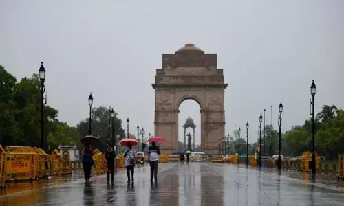 ದಿಲ್ಲಿಯಲ್ಲಿ ಭಾರೀ ಧೂಳು, ಬಿರುಗಾಳಿ: ಹಲವಾರು ಮರಗಳು ಧರಾಶಾಯಿ, ಅನೇಕ ಮನೆಗಳಿಗೆ ಹಾನಿ