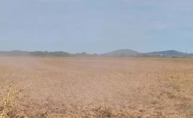 ಚಿಕ್ಕಮಗಳೂರು: ಅಕ್ರಮ ಭೂ ಮಂಜೂರಾತಿ ಹಗರಣ;  ತನಿಖಾ ವರದಿ ಆಧರಿಸಿ ತಪ್ಪಿತಸ್ಥರ ವಿರುದ್ಧ ಕ್ರಮಕ್ಕೆ ಡಿಸಿಗೆ ಸರಕಾರ ಸೂಚನೆ