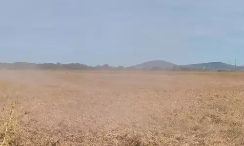 ಚಿಕ್ಕಮಗಳೂರು: ಅಕ್ರಮ ಭೂ ಮಂಜೂರಾತಿ ಹಗರಣ;  ತನಿಖಾ ವರದಿ ಆಧರಿಸಿ ತಪ್ಪಿತಸ್ಥರ ವಿರುದ್ಧ ಕ್ರಮಕ್ಕೆ ಡಿಸಿಗೆ ಸರಕಾರ ಸೂಚನೆ