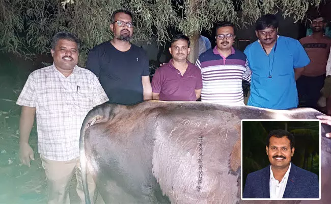 ರೈತ, ಜಾನುವಾರು ಸ್ನೇಹಿ ಪಶು ವೈದ್ಯ ಡಾ.ಮಂಜುನಾಥ್