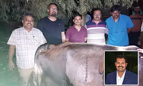 ರೈತ, ಜಾನುವಾರು ಸ್ನೇಹಿ ಪಶು ವೈದ್ಯ ಡಾ.ಮಂಜುನಾಥ್