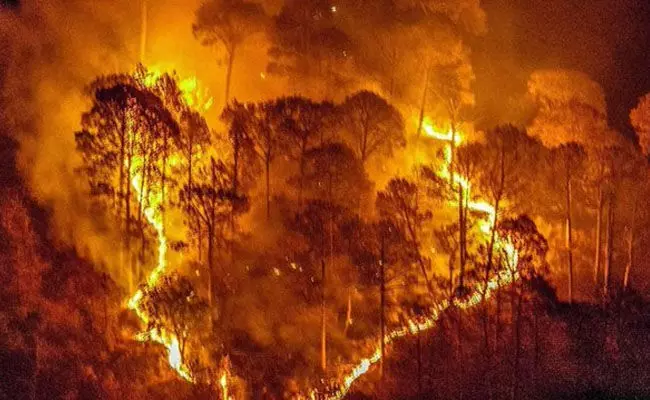 ಉತ್ತರಾಖಂಡದಲ್ಲಿ ಮತ್ತೆ ವ್ಯಾಪಕ ಕಾಳ್ಗಿಚ್ಚು; ರಾಣಿಖೇತ್ ಗಾಲ್ಫ್ ಕೋರ್ಸ್ ಬಳಿ ಅಗ್ನಿ ಶಮನಗೊಳಿಸಿದ ಭಾರತೀಯ ಸೇನೆ ಉತ್ತರಾಖಂಡದಲ್ಲಿ ಮತ್ತೆ ವ್ಯಾಪಕ ಕಾಳ್ಗಿಚ್ಚು; ರಾಣಿಖೇತ್ ಗಾಲ್ಫ್ ಕೋರ್ಸ್ ಬಳಿ ಅಗ್ನಿ ಶಮನಗೊಳಿಸಿದ ಭಾರತೀಯ ಸೇನೆ