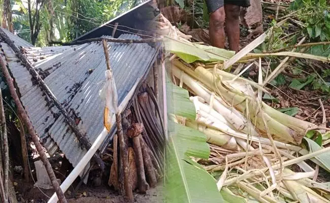 ಸಕಲೇಶಪುರ: ಕಾಡಾನೆ ದಾಳಿಯಿಂದ ಮನೆಗೆ ಹಾನಿ