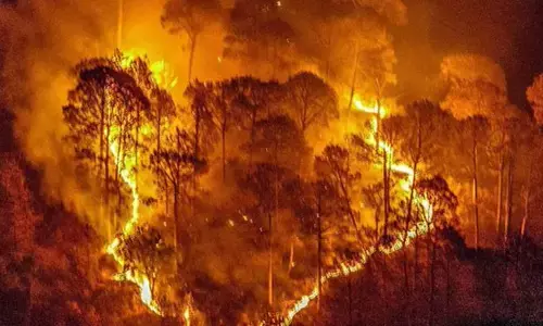 ಉತ್ತರಾಖಂಡದಲ್ಲಿ ಮತ್ತೆ ವ್ಯಾಪಕ ಕಾಳ್ಗಿಚ್ಚು; ರಾಣಿಖೇತ್ ಗಾಲ್ಫ್ ಕೋರ್ಸ್ ಬಳಿ ಅಗ್ನಿ ಶಮನಗೊಳಿಸಿದ ಭಾರತೀಯ ಸೇನೆ