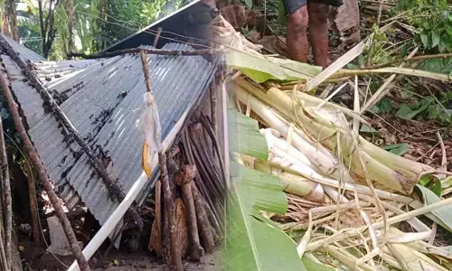 ಸಕಲೇಶಪುರ: ಕಾಡಾನೆ ದಾಳಿಯಿಂದ ಮನೆಗೆ ಹಾನಿ