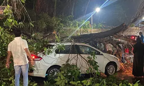 ಮಂಗಳೂರು: ಆಲದ ಮರದ ಕೊಂಬೆ ಬಿದ್ದು 2 ಕಾರುಗಳು ಜಖಂ