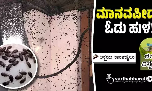 ಮಾನವಪೀಡಕ ಓಡು ಹುಳ!