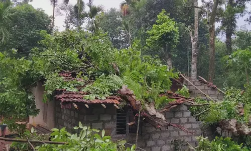 ಚಿಕ್ಕಮಗಳೂರು | ಕಳಸದಲ್ಲಿ ಗಾಳಿಮಳೆ: ಮರ ಬಿದ್ದು ಮನೆಗೆ ಹಾನಿ