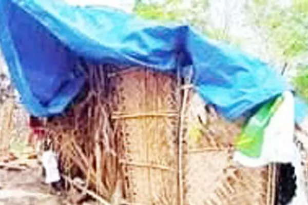 ಸೋರುವ ಸೂರಿನಲ್ಲಿ ಸೋಲಿಗರ ಜೀವನ ಸೋರುವ ಸೂರಿನಲ್ಲಿ ಸೋಲಿಗರ ಜೀವನ