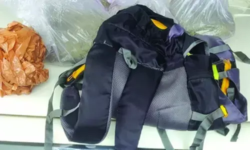 ಕಾಸರಗೋಡು: ಬಸ್ಸಿನಲ್ಲಿ ಸಾಗಾಟ ಮಾಡುತ್ತಿದ್ದ ಐದೂವರೆ ಕಿಲೋ ಗಾಂಜಾ ವಶಕ್ಕೆ