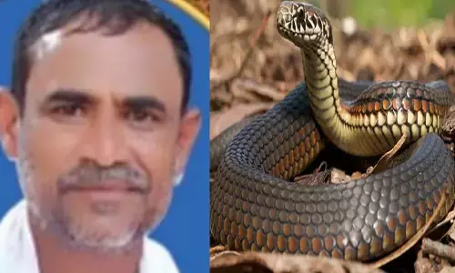 ಚಿಕ್ಕಮಗಳೂರು | ಕಚ್ಚಿದ್ದು ಹಾವು ; ಮುಳ್ಳು ಚುಚ್ಚಿದೆ ಎಂದು ಭಾವಿಸಿದ ರೈತ ಮಲಗಿದ್ದಲ್ಲೇ ಮೃತ್ಯು