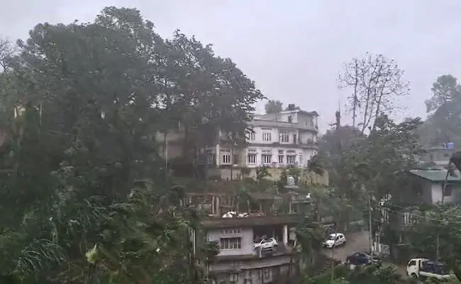 ಅಸ್ಸಾಂ: ಭಾರೀ ಮಳೆಗೆ ಉರುಳಿ ಬಿದ್ದ ಮರಗಳು; ಪ್ರತ್ಯೇಕ ಘಟನೆಗಳಲ್ಲಿ ಒಬ್ಬ ವಿದ್ಯಾರ್ಥಿ ಸಾವು, 12 ಮಂದಿಗೆ ಗಾಯ