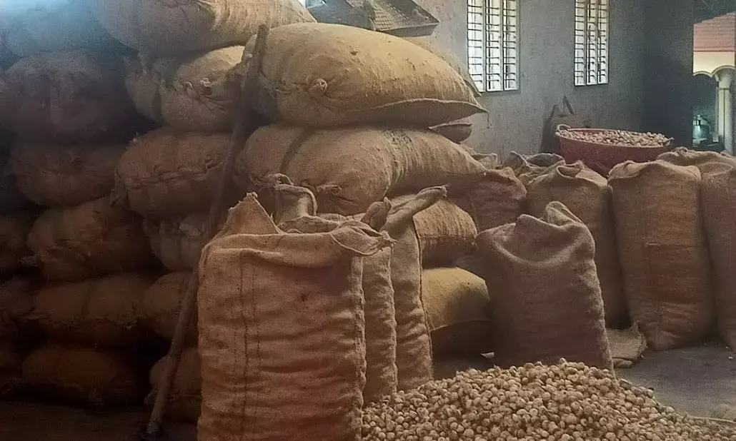 ಶಿವಮೊಗ್ಗ | ಅಡಿಕೆ ದಾಸ್ತಾನು ಮಳಿಗೆಗೆ ತೆರಿಗೆ ಅಧಿಕಾರಿಗಳಿಂದ ದಾಳಿ