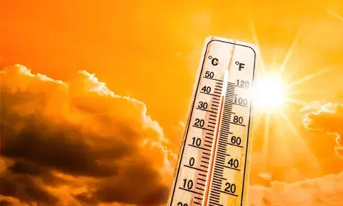 ದಿಲ್ಲಿ: ಬಿಸಿಲಾಘಾತಕ್ಕೆ ಓರ್ವ ಬಲಿ