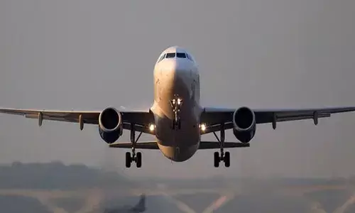 ದಿಲ್ಲಿಯಲ್ಲಿ ಹೆಚ್ಚುತ್ತಿರುವ ವಿಮಾನಗಳಿಗೆ ಪಕ್ಷಿಗಳು ಡಿಕ್ಕಿ ಹೊಡೆಯುವ ಪ್ರಕರಣ