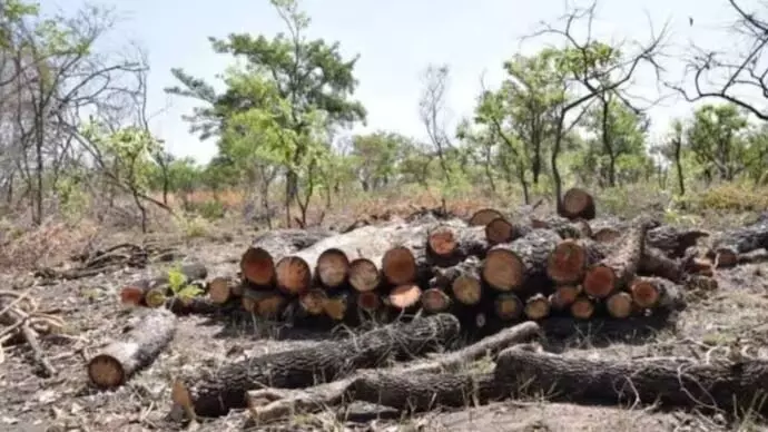 ಕನ್ವರ್ ಮಾರ್ಗ ಯೋಜನೆಗೆ 33,000ಕ್ಕೂ ಅಧಿಕ ಮರಗಳನ್ನು ಕಡಿಯಲಾಗುವುದು: ಎನ್ಜಿಟಿಗೆ ಉತ್ತರ ಪ್ರದೇಶ ಸರ್ಕಾರ ಮಾಹಿತಿ ಕನ್ವರ್ ಮಾರ್ಗ ಯೋಜನೆಗೆ 33,000ಕ್ಕೂ ಅಧಿಕ ಮರಗಳನ್ನು ಕಡಿಯಲಾಗುವುದು: ಎನ್ಜಿಟಿಗೆ ಉತ್ತರ ಪ್ರದೇಶ ಸರ್ಕಾರ ಮಾಹಿತಿ