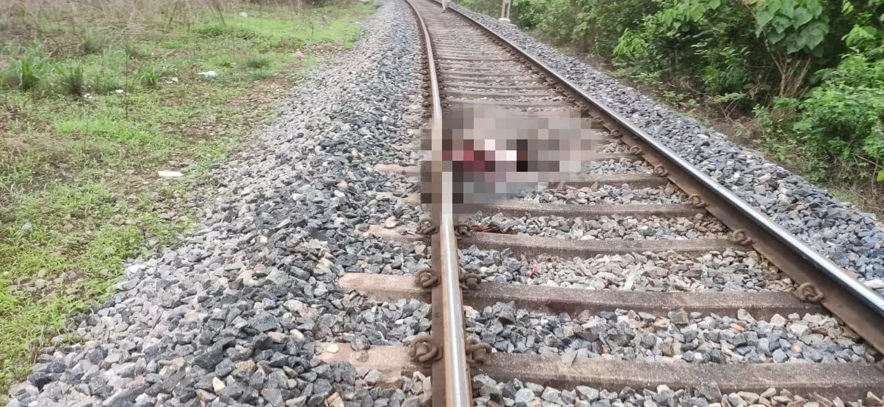 ಪುತ್ತೂರು: ರೈಲು ಢಿಕ್ಕಿಯಾಗಿ ವ್ಯಕ್ತಿ ಮೃತ್ಯು