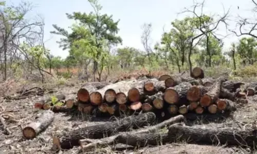 ಕನ್ವರ್‌ ಮಾರ್ಗ ಯೋಜನೆಗೆ 33,000ಕ್ಕೂ ಅಧಿಕ ಮರಗಳನ್ನು ಕಡಿಯಲಾಗುವುದು: ಎನ್‌ಜಿಟಿಗೆ ಉತ್ತರ ಪ್ರದೇಶ ಸರ್ಕಾರ ಮಾಹಿತಿ