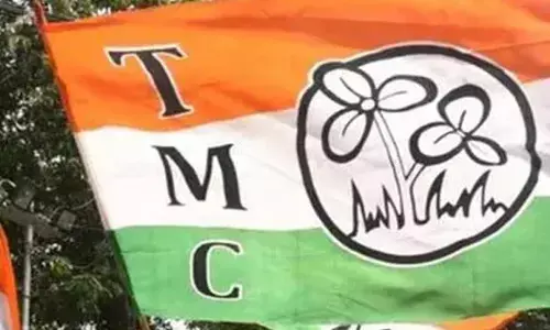 ಅತಿರಥರನ್ನು ಮಣಿಸಿದ ಟಿಎಂಸಿಯ ಹೊಸಮುಖಗಳು