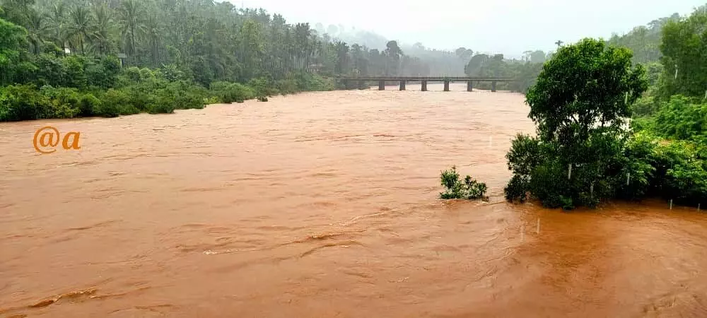 ಚಿಕ್ಕಮಗಳೂರಿನಲ್ಲಿ ಮುಂದುವರಿದ ಮಳೆ ಅಬ್ಬರ: ಪ್ರಮುಖ ನದಿಗಳಲ್ಲಿ ನೀರಿನ ಹರಿವು ಹೆಚ್ಚಳ