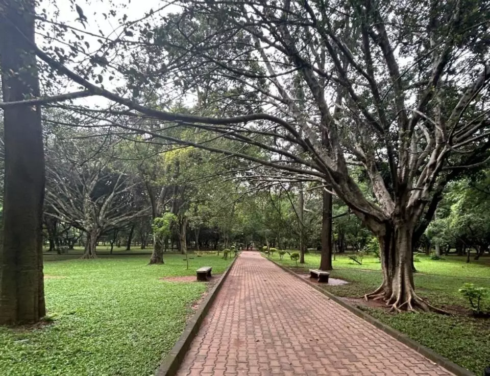 ಬೆಂಗಳೂರು: ಪಾರ್ಕ್ಗಳಲ್ಲಿ ರಾತ್ರಿ 10 ಗಂಟೆವರೆಗೂ ಸಾರ್ವಜನಿಕರ ಪ್ರವೇಶಕ್ಕೆ ಅವಕಾಶ ಬೆಂಗಳೂರು: ಪಾರ್ಕ್ಗಳಲ್ಲಿ ರಾತ್ರಿ 10 ಗಂಟೆವರೆಗೂ ಸಾರ್ವಜನಿಕರ ಪ್ರವೇಶಕ್ಕೆ ಅವಕಾಶ