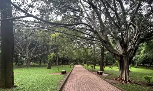 ಬೆಂಗಳೂರು: ಪಾರ್ಕ್‍ಗಳಲ್ಲಿ ರಾತ್ರಿ 10 ಗಂಟೆವರೆಗೂ ಸಾರ್ವಜನಿಕರ ಪ್ರವೇಶಕ್ಕೆ ಅವಕಾಶ