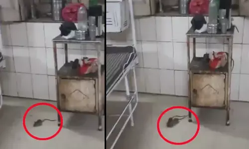 ಮಧ್ಯ ಪ್ರದೇಶ: ಆಸ್ಪತ್ರೆಯಲ್ಲಿ ಇಲಿಗಳ ಕಾಟ; ರೋಗಿಗಳ ಪರದಾಟ