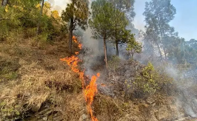 ಉತ್ತರಾಖಂಡದ ಬಿನ್ಸಾರ್ ವನ್ಯಜೀವಿ ಅಭಯಾರಣ್ಯದಲ್ಲಿ ಬೆಂಕಿ |ಅರಣ್ಯ ಸಿಬ್ಬಂದಿ  ಸೇರಿ ಕನಿಷ್ಠ ನಾಲ್ವರ ಮೃತ್ಯು