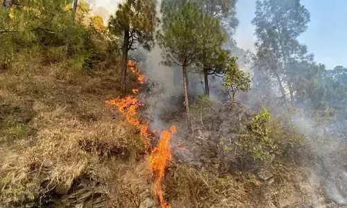 ಉತ್ತರಾಖಂಡದ ಬಿನ್ಸಾರ್ ವನ್ಯಜೀವಿ ಅಭಯಾರಣ್ಯದಲ್ಲಿ ಬೆಂಕಿ |ಅರಣ್ಯ ಸಿಬ್ಬಂದಿ  ಸೇರಿ ಕನಿಷ್ಠ ನಾಲ್ವರ ಮೃತ್ಯು