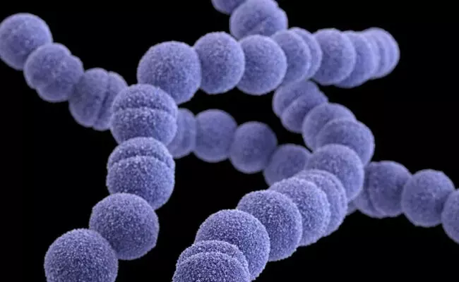 ಜಪಾನ್‍ನಲ್ಲಿ ಹರಡುತ್ತಿದೆ `ಮಾಂಸ ತಿನ್ನುವ ಬ್ಯಾಕ್ಟೀರಿಯಾ!