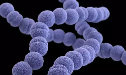 ಜಪಾನ್‍ನಲ್ಲಿ ಹರಡುತ್ತಿದೆ `ಮಾಂಸ ತಿನ್ನುವ ಬ್ಯಾಕ್ಟೀರಿಯಾ!