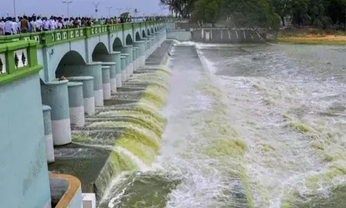 ಮಳೆಗೆ ಅನುಗುಣವಾಗಿ ಬಿತ್ತನೆ | ಕರ್ನಾಟಕ, ತಮಿಳುನಾಡಿಗೆ ಕಾವೇರಿ ಸಮಿತಿ ಸೂಚನೆ