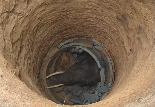 ವಿರಾಜಪೇಟೆ | ಬಾವಿಗೆ ಬಿದ್ದು ಕಾಡಾನೆ ಸಾವು ವಿರಾಜಪೇಟೆ | ಬಾವಿಗೆ ಬಿದ್ದು ಕಾಡಾನೆ ಸಾವು