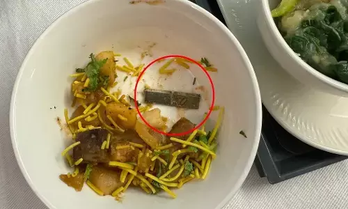 ಏರ್ ಇಂಡಿಯಾ ವಿಮಾನದಲ್ಲಿ ನೀಡಿದ ಊಟದಲ್ಲಿ ಬ್ಲೇಡ್ ಪತ್ತೆ!