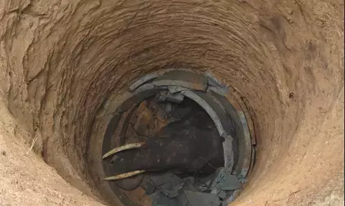 ವಿರಾಜಪೇಟೆ | ಬಾವಿಗೆ ಬಿದ್ದು ಕಾಡಾನೆ ಸಾವು