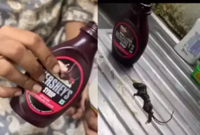 ಆನ್‌ಲೈನ್‌ನಲ್ಲಿ ಖರೀದಿಸಿದ ಚಾಕೊಲೇಟ್‌ ಸಿರಪ್‌ ಬಾಟಲಿಯಲ್ಲಿ ಸತ್ತ ಇಲಿ ಪತ್ತೆ!