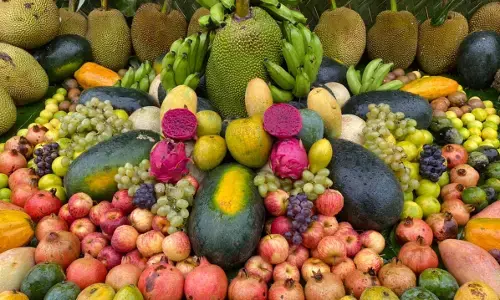 ಜೂ.22-23: ಪಿಲಿಕುಳದಲ್ಲಿ ಹಣ್ಣು-ಹಲಸು ಮೇಳ