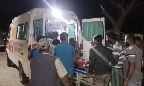 ಚಾಮರಾಜನಗರ: ಕಾಡಾನೆ ದಾಳಿಯಿಂದ ತಪ್ಪಿಸಲು ಯತ್ನ; ಕಾವಲುಗಾರರಿಗೆ ಗಾಯ